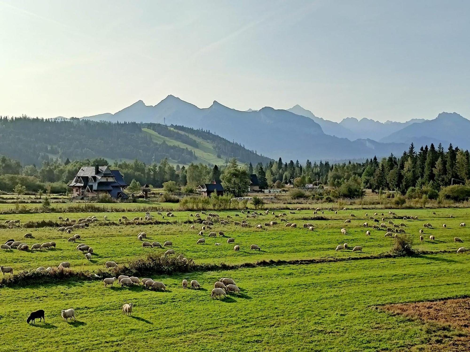 Domek Z Goralska Dusza Sleboda Jurgów المظهر الخارجي الصورة